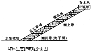德优题库