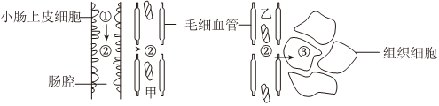 德优题库