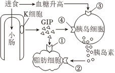 德优题库
