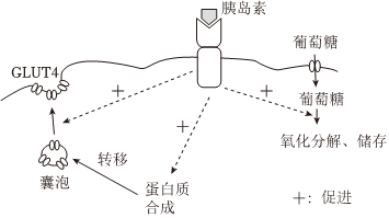 德优题库