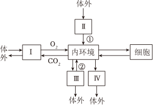 德优题库