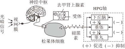 德优题库