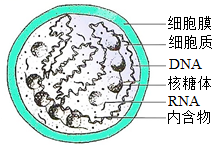 德优题库