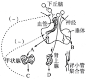 德优题库