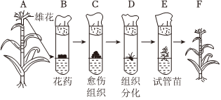 德优题库