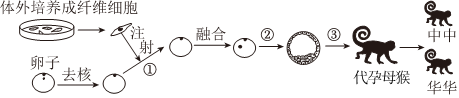德优题库