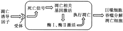 德优题库