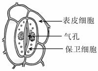 德优题库