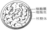 德优题库