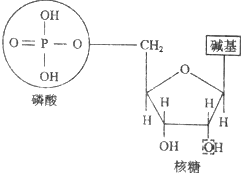 德优题库
