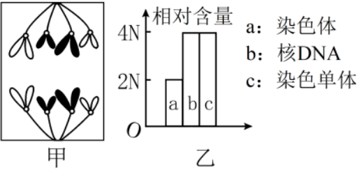 德优题库
