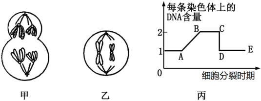 德优题库