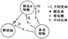 德优题库