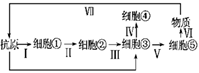 德优题库
