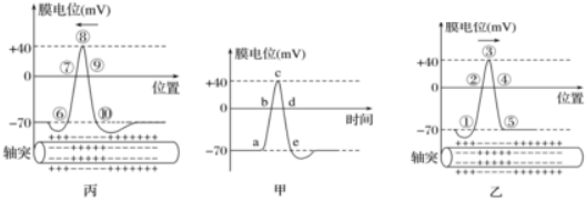 德优题库