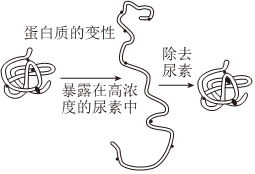 德优题库