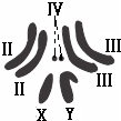 德优题库