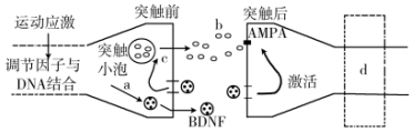 德优题库