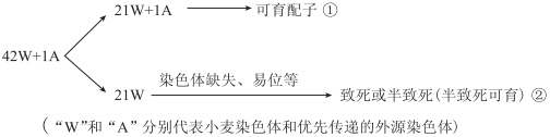 德优题库