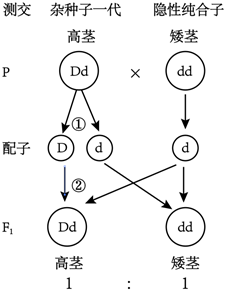 德优题库