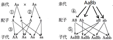 德优题库