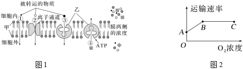 德优题库