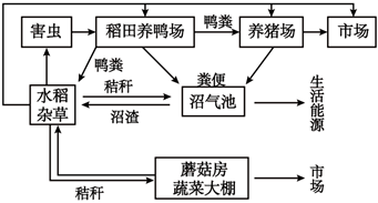 德优题库