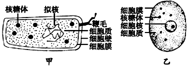 德优题库