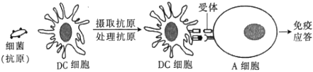 德优题库