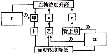 德优题库