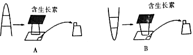 德优题库