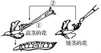 德优题库