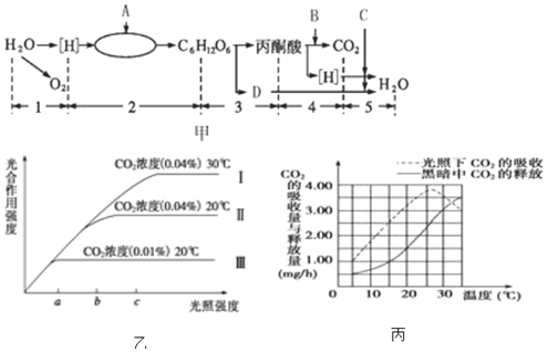德优题库