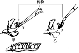德优题库