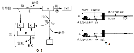 德优题库