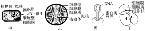 德优题库