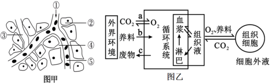 德优题库