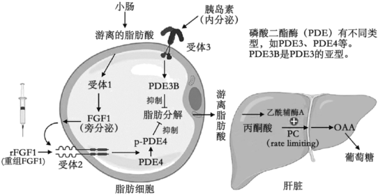 德优题库