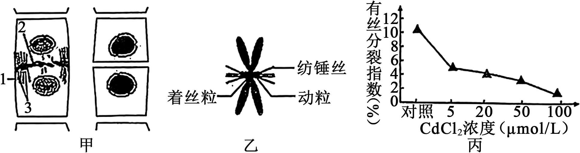 德优题库