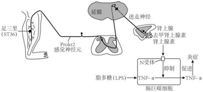 德优题库