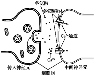 德优题库