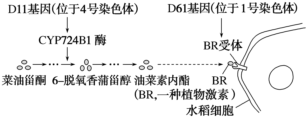 德优题库