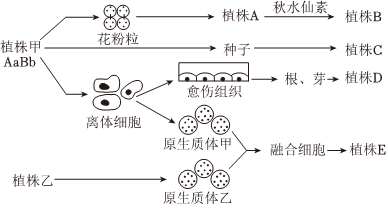 德优题库