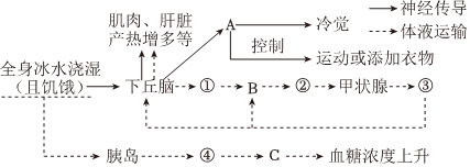 德优题库