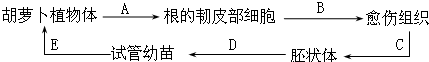 德优题库