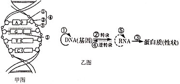 德优题库