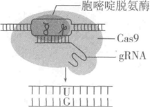 德优题库