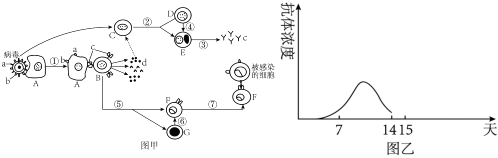 德优题库