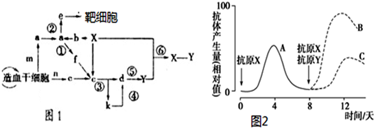 德优题库