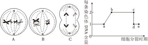 德优题库